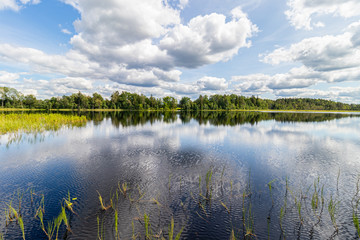 Fototapeta na wymiar Wonderful landscape with lake on a sunny summer day. Blue sky with cumulus clouds, forest on the other side reflected in calm water. Latvia.