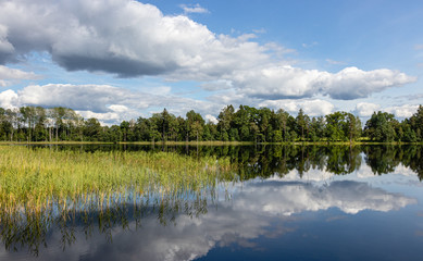 Wonderful landscape with lake on a sunny summer day. Blue sky with cumulus clouds, forest on the other side reflected in calm water. Latvia.