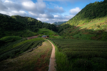 road in mountains