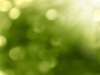 abstract background spring green yellow blurred forest