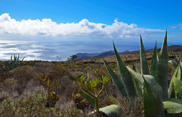 A landscape of hills covered  succulent plants of El Hierro island,Canary Islands,Spain.Selective focus.