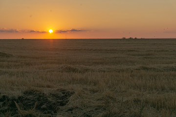 Sunset on the farm field