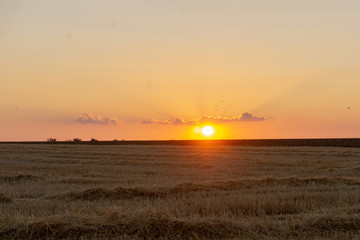 Sunset on the farm field