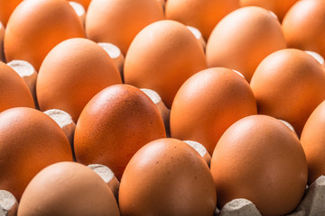 Chicken eggs in carton box - Close up