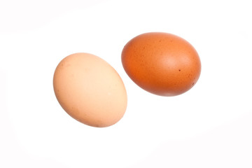 egg isolated on white background