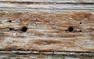 Naklejka premium old wood texture detail background