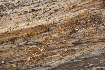 Stone texture from waves erode, nature background. Top view. Copy space. Can use as banner