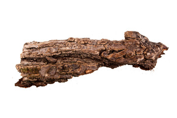 tree bark isolated on white background