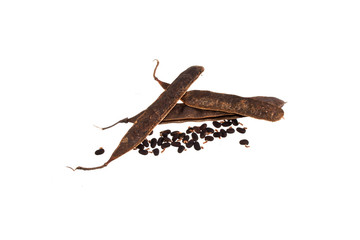 acacia seeds isolated on white background