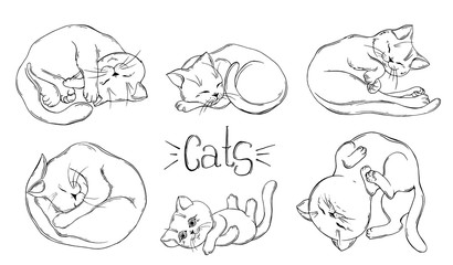 set of graphic black and white cats.