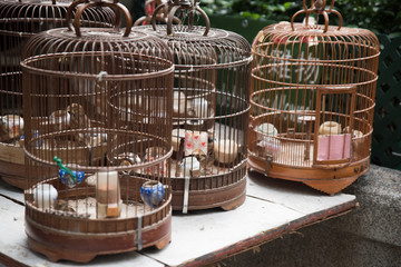 Fototapeta na wymiar bird cage birds birdmarket animal pet Hongkong Hongkongtour hobby interior
