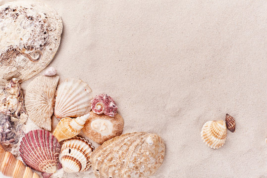 Sand beach space for an inscription wallpaper background among seashells