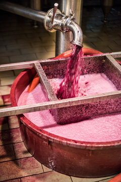 Pig&eacute;age, French wine-making process in Italian winery