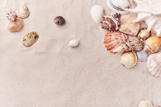 Sand beach space for an inscription wallpaper background among seashells