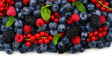 Blackberry, raspberry, blueberry,  red currant and mint background.