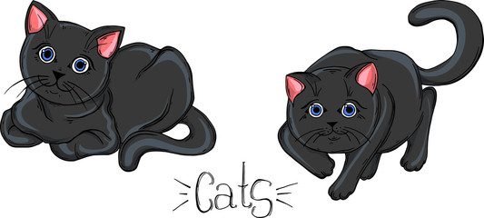 Painted set of black cats in different poses.