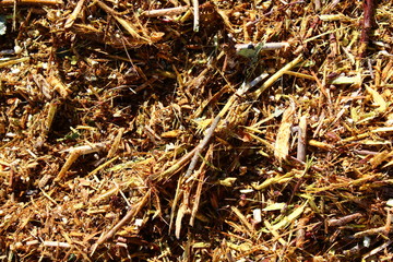 Holz vom Häkseln im Garten