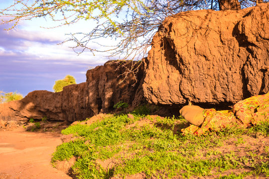 belle vue matam senegal