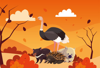 cute card with animals of australia