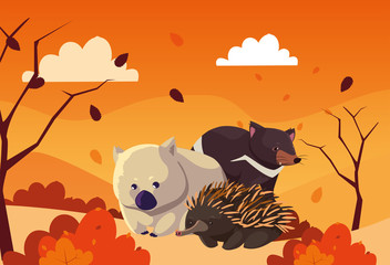 cute card with animals of australia