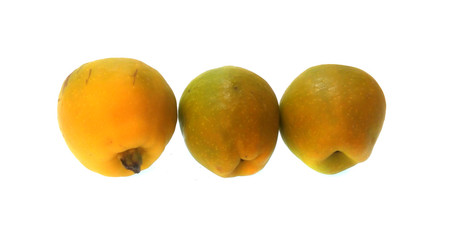 fruit isolated on white background