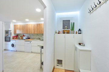 modern entrance hall, from an apartment, from where you can see the kitchen