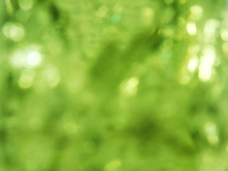 Fototapeta premium abstract background spring green yellow blurred forest