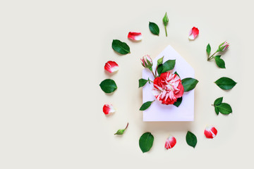 A miniature rose flower with leaves and petals is in the envelope. On light background. The concept of Valentine's Day.