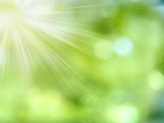 abstract background spring green yellow blurred forest