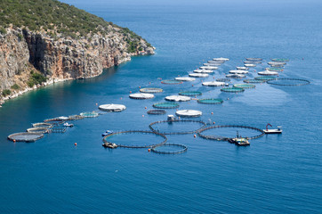 Marine fish farm in Greece