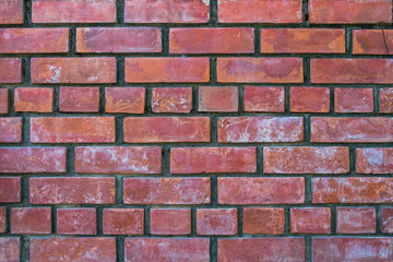 red brick wall background