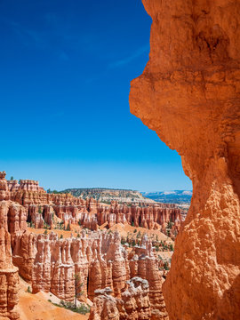 The Bryce Canyon national park in Utah, United States. Bryce is a collection of giant natural amphitheaters distinctive due Hoodoos geological structures