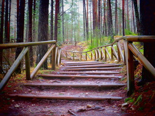 ESCALERA NATURAL