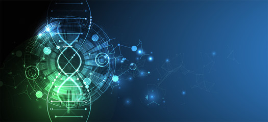 Science template, wallpaper or banner with a DNA molecules.