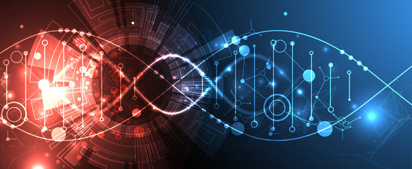 Science template, wallpaper or banner with a DNA molecules. - obrazy, fototapety, plakaty