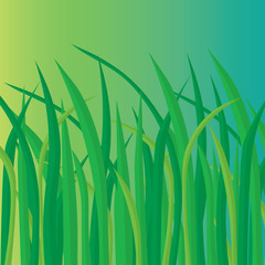 green nature background- vector illustration