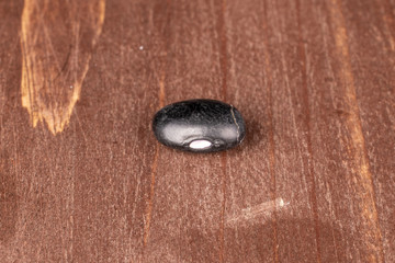 One whole black bean on brown wood
