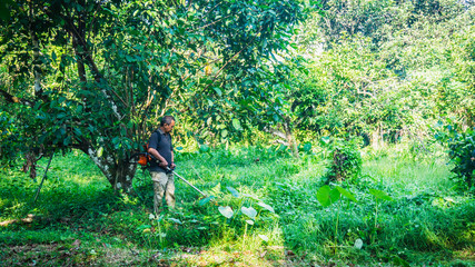 A middle aged man cutting the the thick bushes using the brush cutter machine under the scorching sun.
