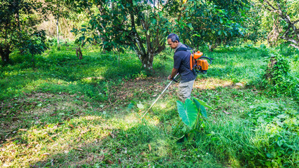 A middle aged man cutting the the thick bushes using the brush cutter machine under the scorching sun.