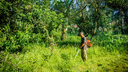 A middle aged man cutting the the thick bushes using the brush cutter machine under the scorching sun.