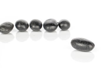 Lot of whole arranged black bean isolated on white background