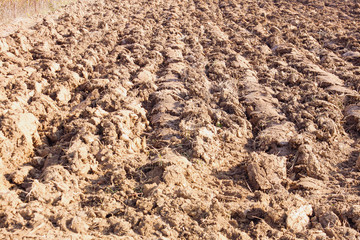 Arable land