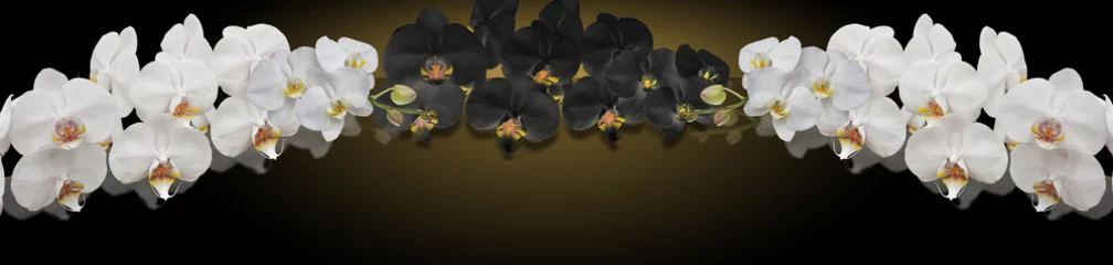 Gordijnen zwart-witte orchidee © danilag