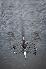 Female Rowing Team in Competition