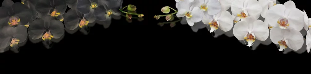 Rolgordijnen black and white orchid © danilag