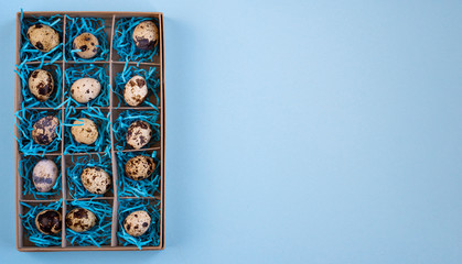 Obraz premium Easter eggs in a paper box. Blank for a greeting card. Easter blue background creative. happy Easter.