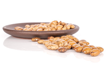 Lot of whole light mottled brown bean pinto with brown ceramic coaster isolated on white background