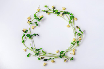 Fresh snow pea and mung sprouts on white background on a circle. Top view. Healthy diet superfood and micro green eating concept. Free cope space