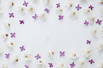 A frame of colors for your design. Cherry blossoms and lilacs