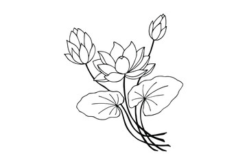 flowers of marsh, water lily. eps10 vector stock illustration. out line